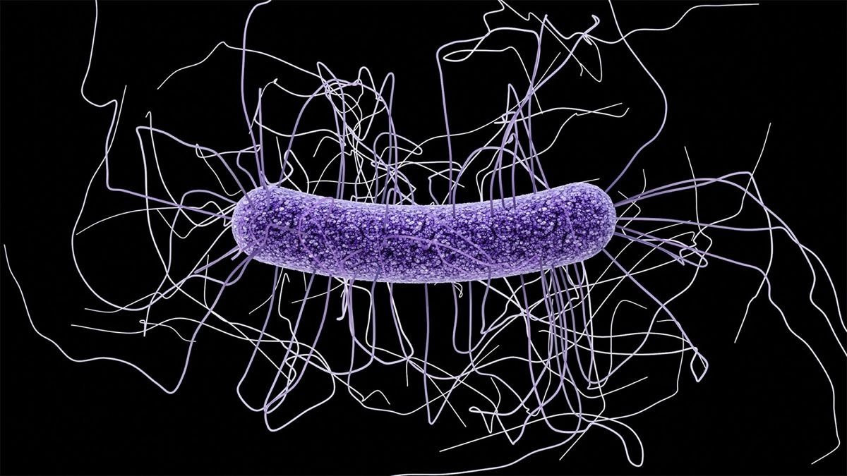 Ερευνητές ανέπτυξαν νέο εμβόλιο mRNA κατά μιας πολύ σοβαρής λοίμωξης του εντέρου