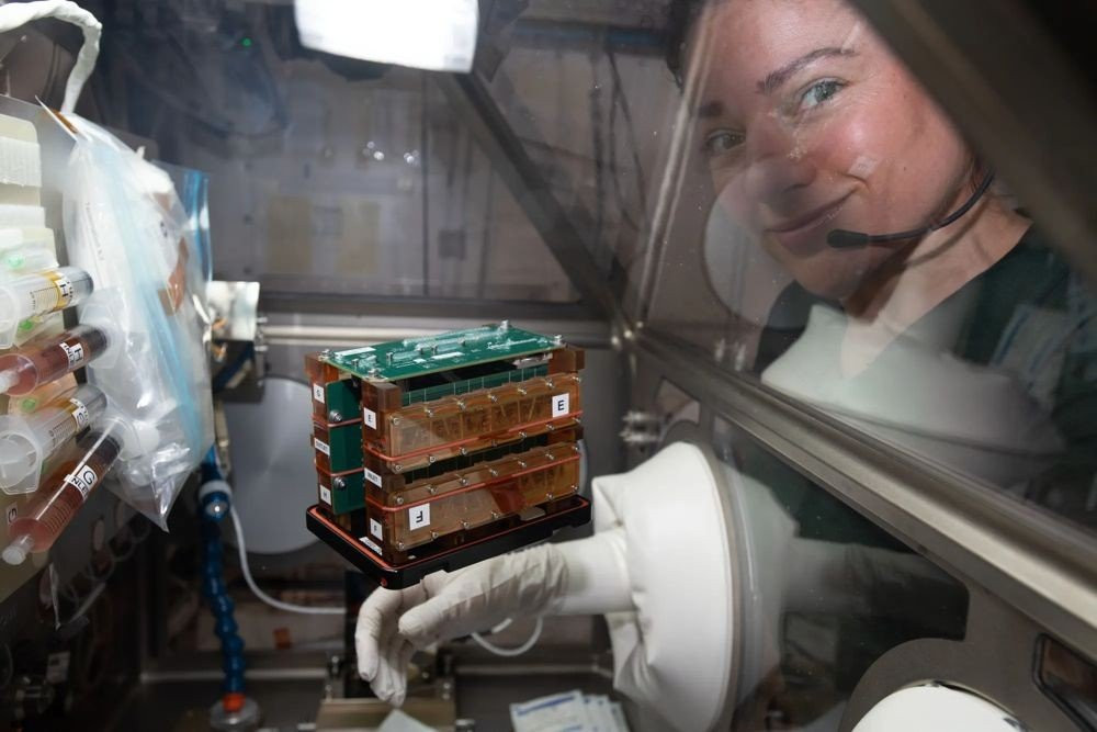 Η NASA δοκίμαζει chips ιστών στο Διάστημα για να κατανοήσει τις επιπτώσεις στο ανθρώπινο σώμα