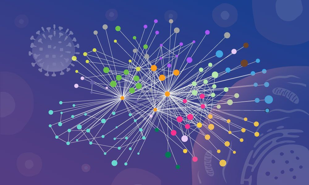 Η AI της Google αποκαλύπτει τη δράση της Γρίπης Α στο εσωτερικό των κυττάρων