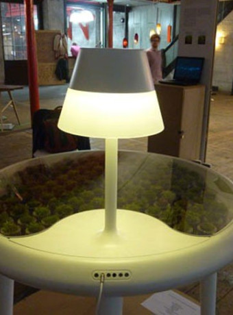 Moss Table, ενέργεια από ...βρύα! image