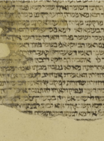 Alt text