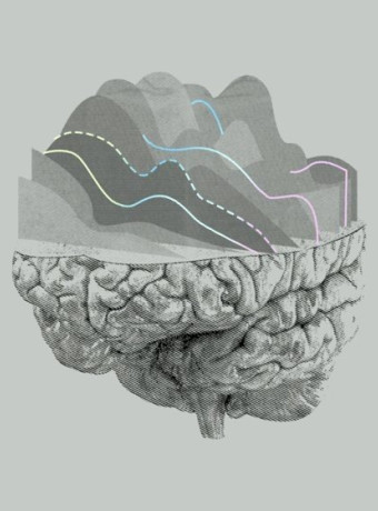 Neuralink: Στο στόχαστρο της USDA για τους θανάτους των πειραματόζωων image