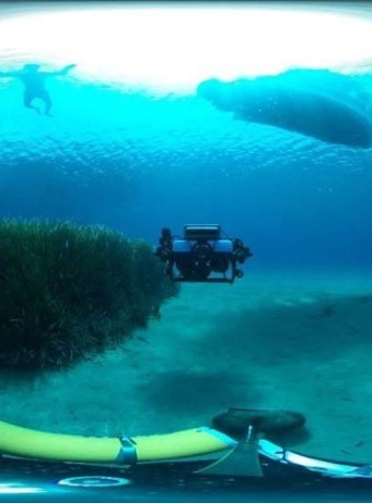 Vodafone Posidonia: Το πρώτο υπερσύγχρονο υποβρύχιο παρατηρητήριο για τον υποθαλάσσιο πνεύμονα της Μεσογείου image