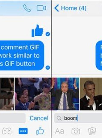 Alt text
