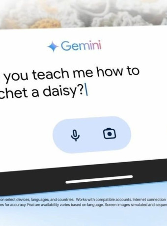 Alt text