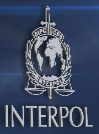 Η Interpol συνέλαβε 5500+ άτομα σε όλο τον κόσμο και γλίτωσε $400 εκατ. από απάτες image
