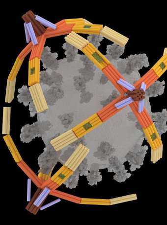 NanoGripper: Νανορομπότ - χέρι από DNA αρπάζει τους ιούς πριν μολύνουν τα κύτταρα! image