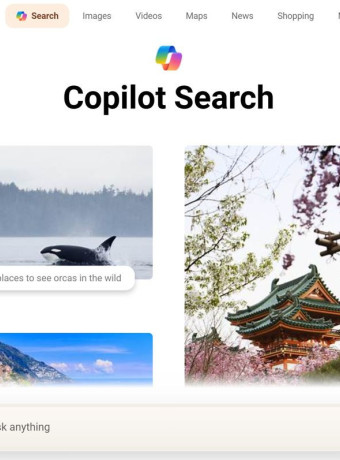 Alt text