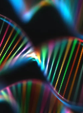 Κληρονομικότητα: Πώς το DNA καθορίζει τα χαρακτηριστικά μας image