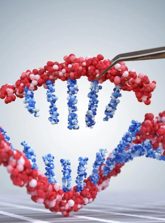 Το εργαλείο CRISPR «ξυπνά» χαμένο γονίδιο και ανοίγει τον δρόμο για πρόληψη ασθενειών image