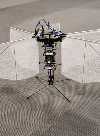 Drone-«σκώρος»: Πετά, ακολουθεί το φως και μαθαίνει χωρίς τεχνητή νοημοσύνη image