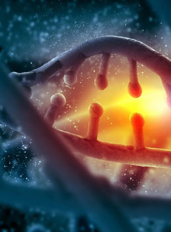 Ο «αόρατος» σύμμαχος του DNA: Πώς μια πρωτεΐνη ρίχνει φως σε θανάσιμες ασθένειες image