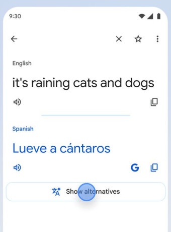 Alt text