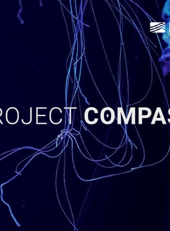 Project COMPASS: Μπλόκο σε 4.340 URLs και 30 συλλήψεις για το επικίνδυνο δίκτυο The Com image