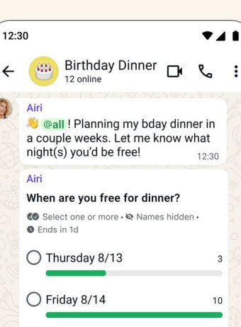 Alt text