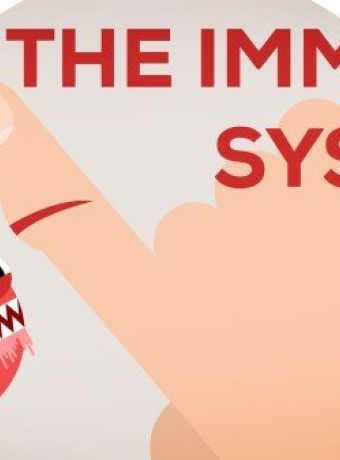 Πως λειτουργεί το ανοσοποιητικό σύστημα μέσα από ένα εξαιρετικό animation video image