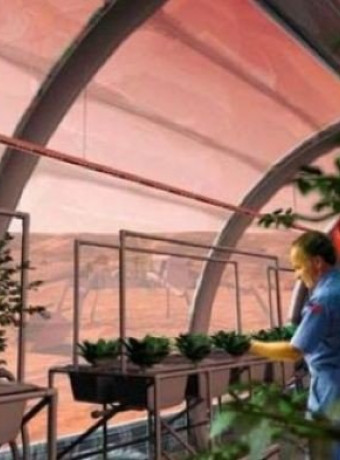 H NASA σχεδιάζει να φυτέψει λουλούδια και λαχανικά στο Φεγγάρι! image
