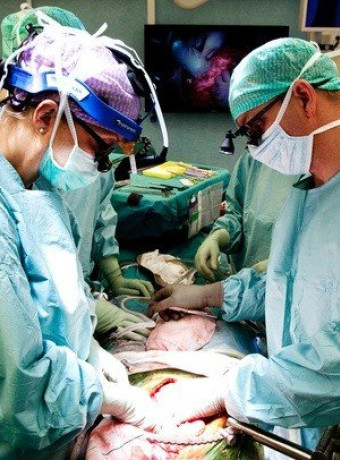 Επιστήμονες εμφυτεύουν μήτρες σε 9 γυναίκες με σκοπό την τεκνοποίηση image