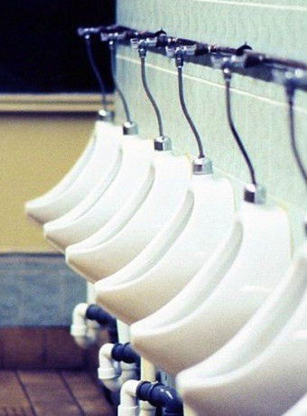 Επταετής έρευνα αποκαλύπτει τι κρύβουν τα ούρα μας! image
