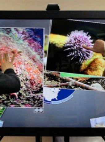 Ideum MT65 Presenter: 65" 3D οθόνη με δυνατότητα multi-touch image