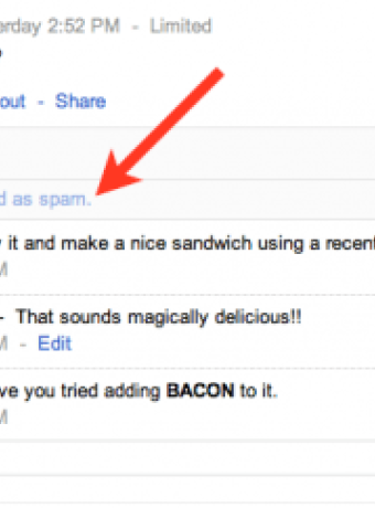 Google+: Ομαδοποίηση και απόκρυψη των spam comments image