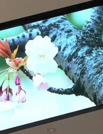Η μικρότερη Full HD 3DTV στον κόσμο από την Ortus Technology! image