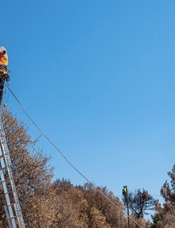 Όμιλος ΟΤΕ: Αποκαθίστανται σταδιακά τα δίκτυα στις πυρόπληκτες περιοχές, συνεχίζονται οι δωρεάν παροχές έως 31/08 image
