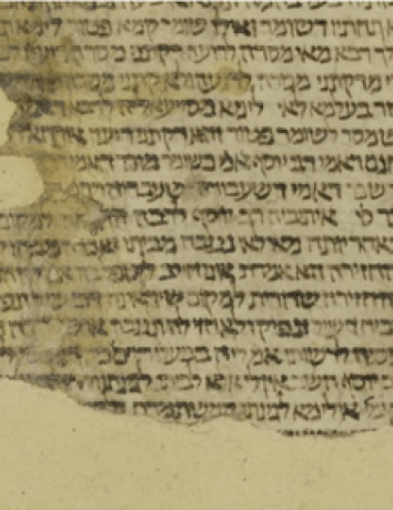 Alt text