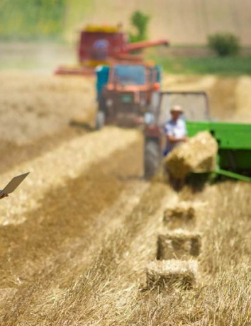 TraceHarvest: Ηλεκτρονική πλατφόρμα για τη γεωργία με βάση το Blockchain image