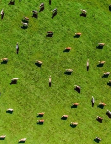 myFarmWeb: Η νέα υπηρεσία της Vodafone για βιώσιμη γεωργία στην Ευρώπη image