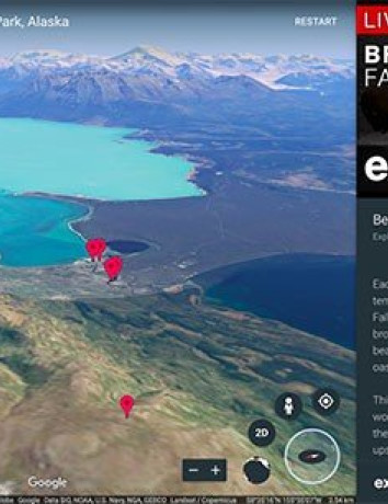 Google Earth: Τώρα βλέπεις ντοκιμαντέρ της φύσης σε ζωντανή μετάδοση! image