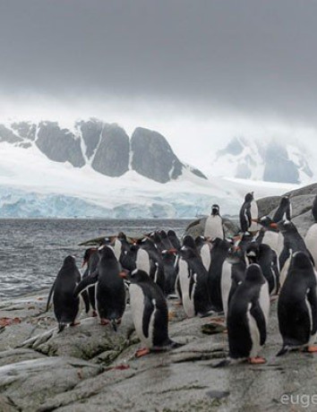 Ο Eugene Kaspersky και η πρώτη Antarctic Biennale στο δρόμο για την Ανταρκτική image