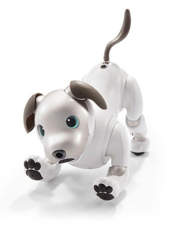 Sony Aibo: Αυτός είναι ο νέος σκύλος-ρομπότ της εταιρείας [Videos] image