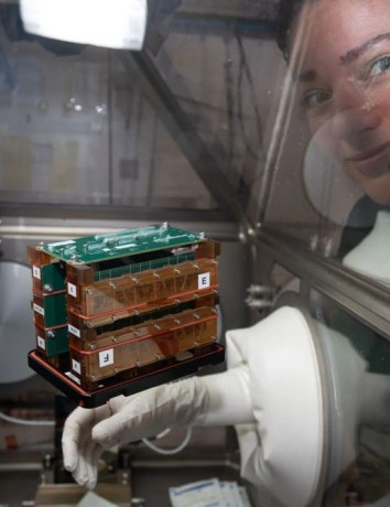 Η NASA δοκίμαζει chips ιστών στο Διάστημα για να κατανοήσει τις επιπτώσεις στο ανθρώπινο σώμα image