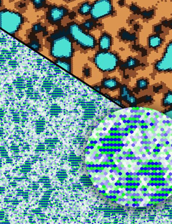 Alt text
