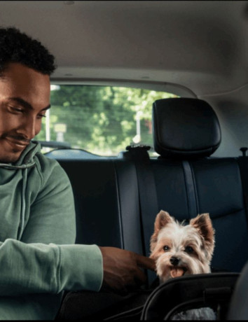 Uber Taxi Pet: Τώρα μετακινείσαι και με το κατοικίδιο σου image