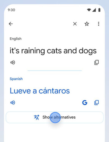 Alt text