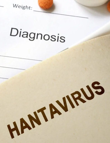 Τι είναι ο ιός Hantavirus: Τα επιστημονικά δεδομένα μετά τα κρούσματα στο κρουαζιερόπλοιο MV Hondius image
