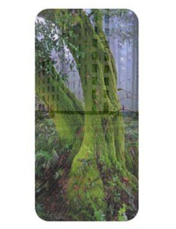 Alt text