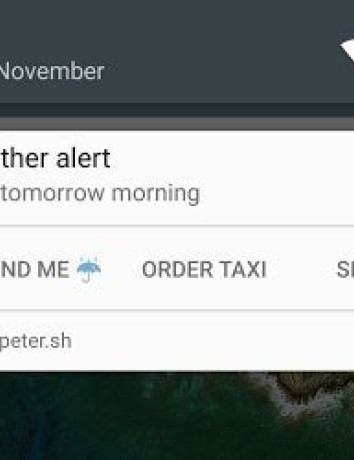 Alt text