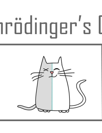 Schrödinger’s Cat: Μάθε για το περίφημο θεωρητικό πείραμα από το animation video-εξήγηση του TED-Ed image