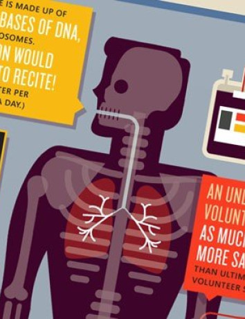 Όλα όσα πρέπει να γνωρίζεις για το Human Genome Project σε ένα Infographic [Infographic] image