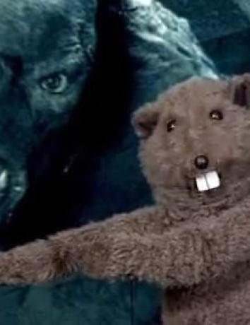 Πόσα διαφορετικά είδη trolls υπάρχουν; [Video] image
