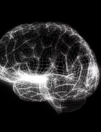 Ξεκίνησε το Human Brain Project για την προσομοίωση του ανθρώπινου εγκεφάλου image