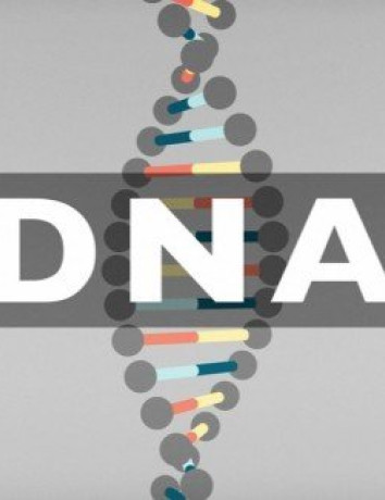 Όλα οσα πρέπει να γνωρίζεις για το DNA σε ένα animation [Video] image