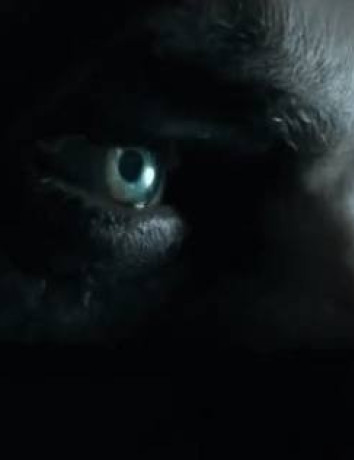 Thief: Δείτε το πρώτο gameplay video σε PlayStation 4 image