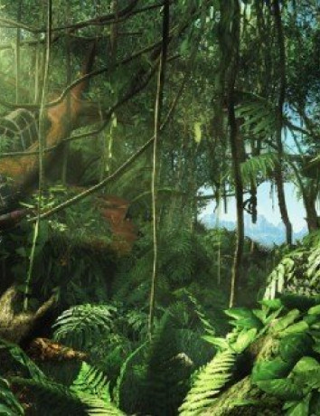 Far Cry 3: Επίσημο walkthrough-gameplay video για το τεράστιο περιβάλλον του παιχνιδιού [Videos] image