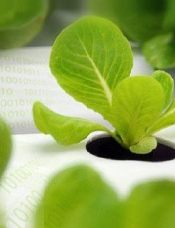 Smart Vegetable Garden: O πρώτος ...cloud κήπος από την Panasonic image