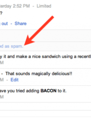 Google+: Ομαδοποίηση και απόκρυψη των spam comments image