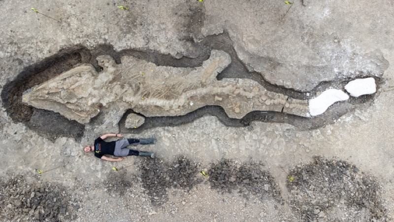 Βρέθηκε απολίθωμα θαλάσσιου δράκου ηλικίας 180 εκατ. ετών&#33;